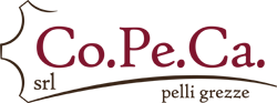 logo copeca