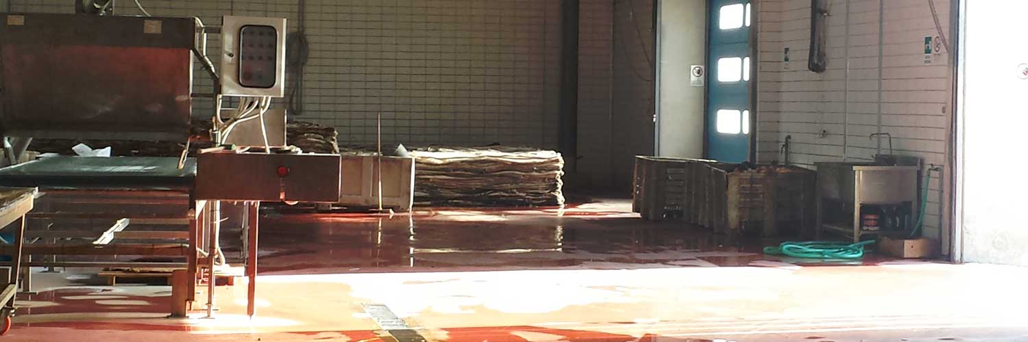 slide-2